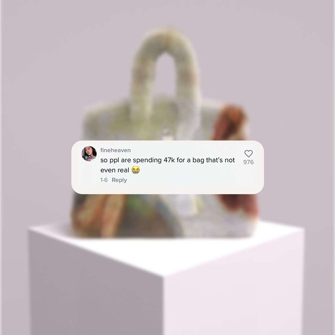THE CULTED COMMUNITY WEIGHS IN ON THE ONGOING METABIRKIN & HERMÈS DRAMA
