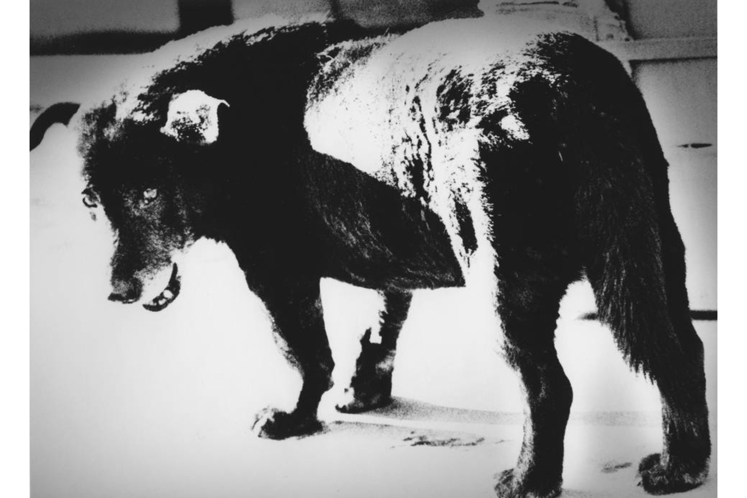 Daidō Moriyama: The legendary photographer behind Ye’s “Bully” cover