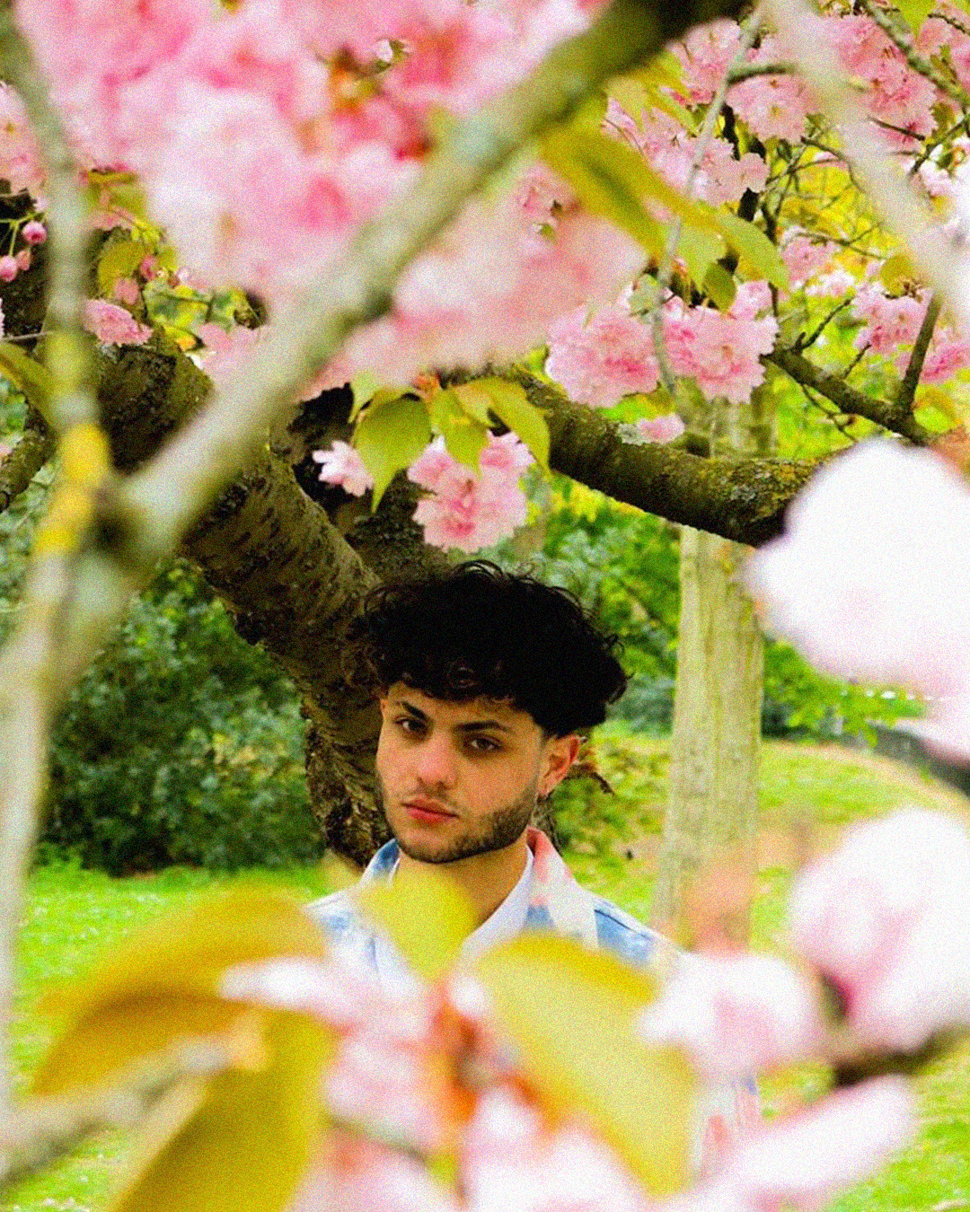 CULTED SOUNDS: FIXUPBOY AND THE FRESH SOUNDS OF EMO TRAP