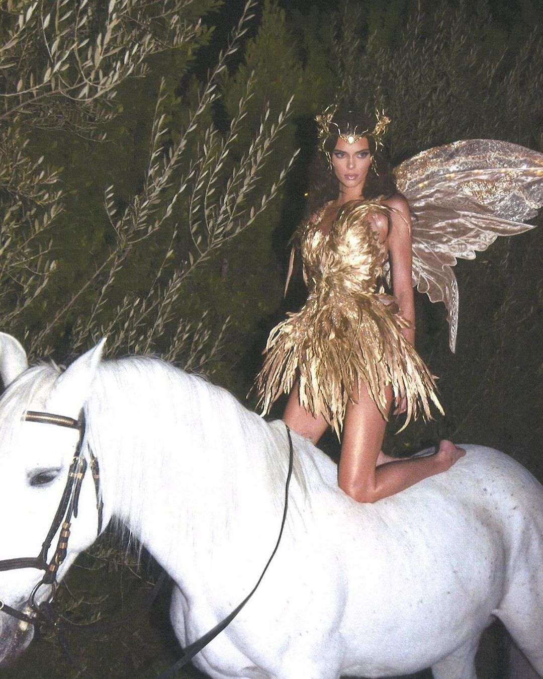 HAVEN’T YOU HEARD? HORSE GIRLS ARE COOL NOW