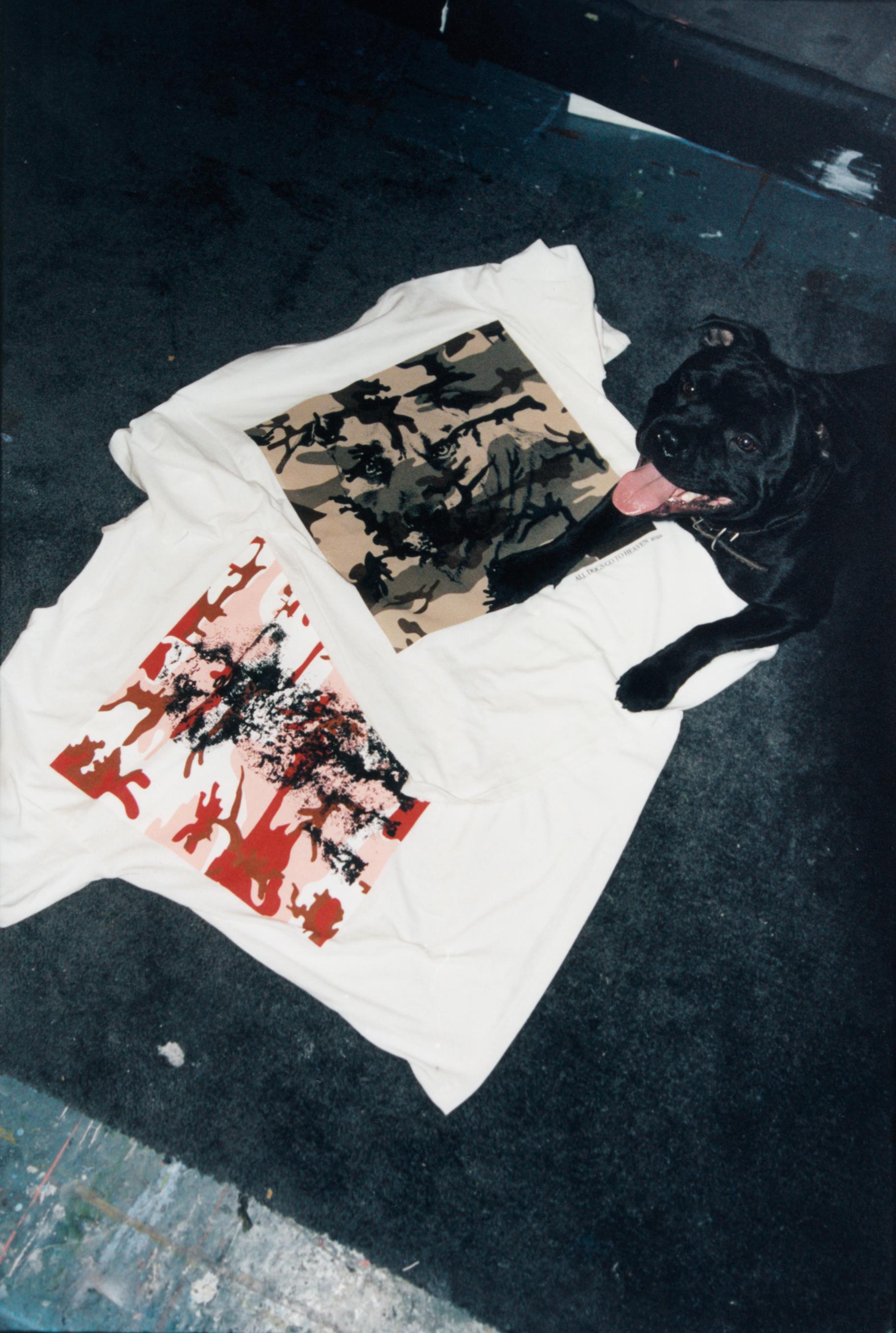 SOLDIER and Awake NY are designing for the dogs