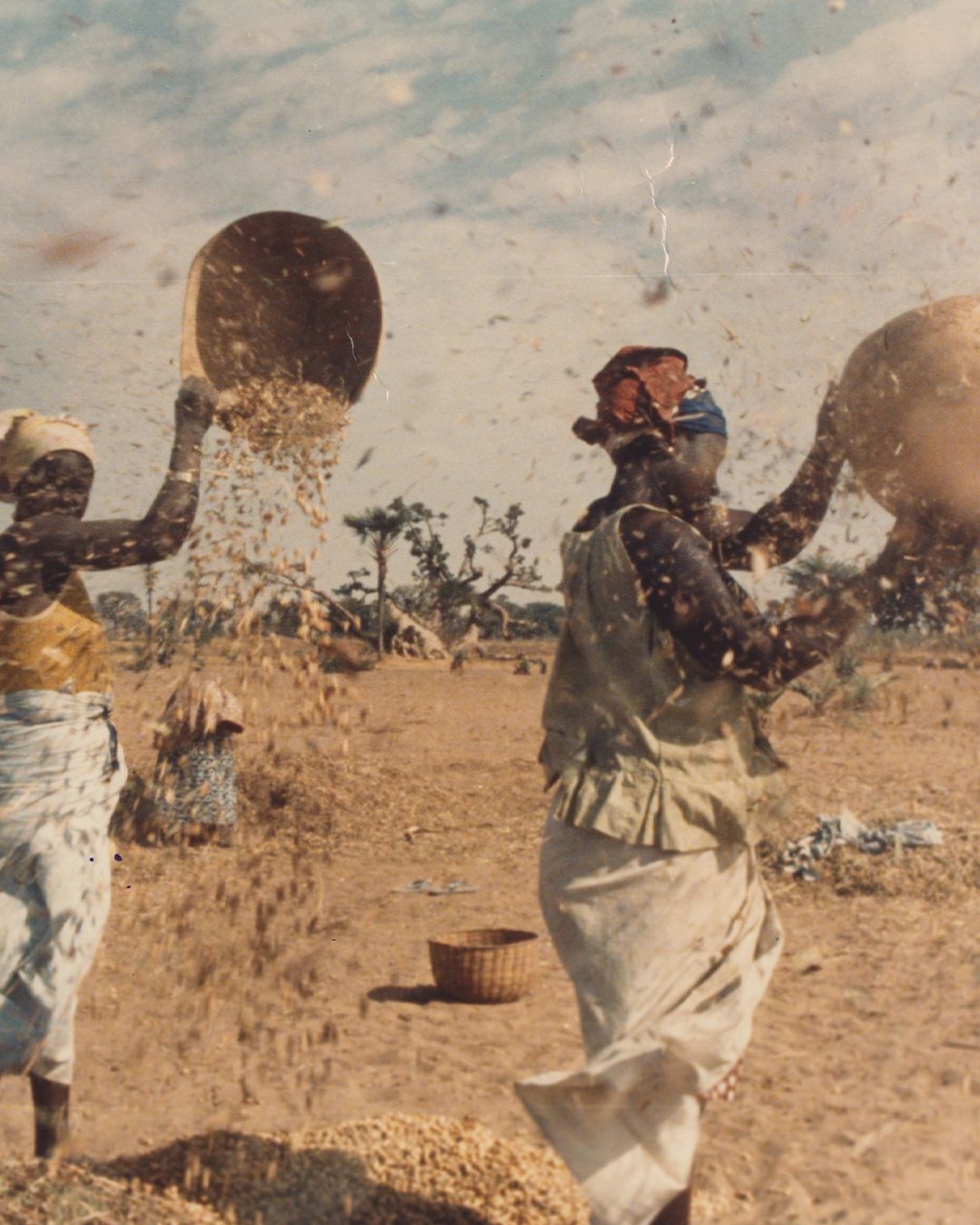 Air Afrique is launching with Bottega Veneta in its mission to uplift zine culture