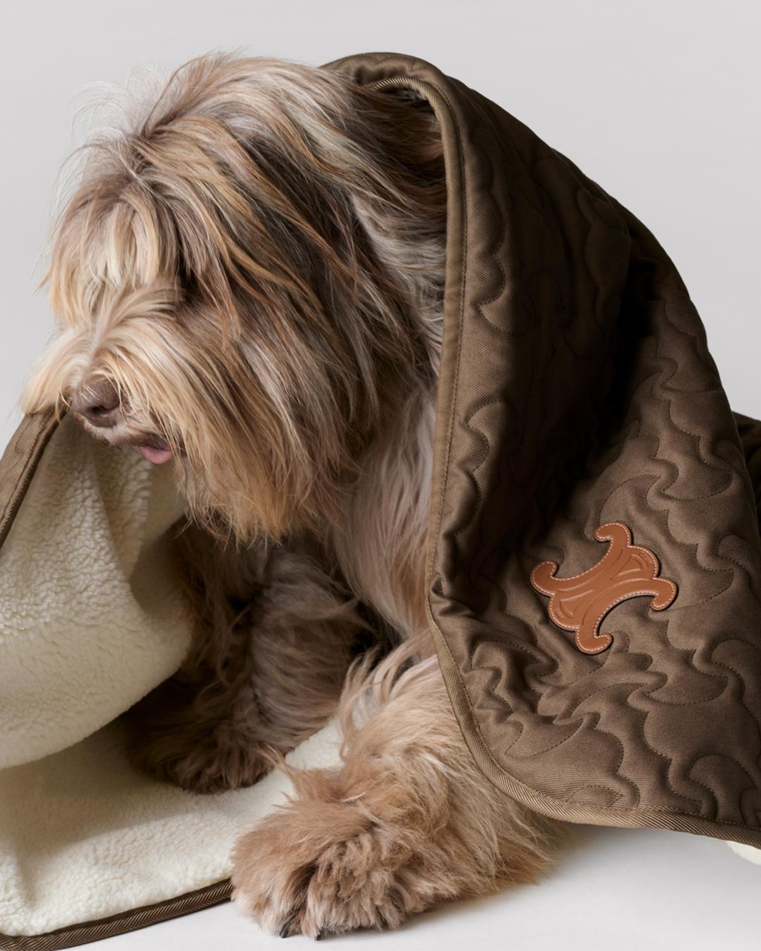 Your Monday Briefing: CELINE launches dog accessories, RIMOWA debuts its Signature Collection & more