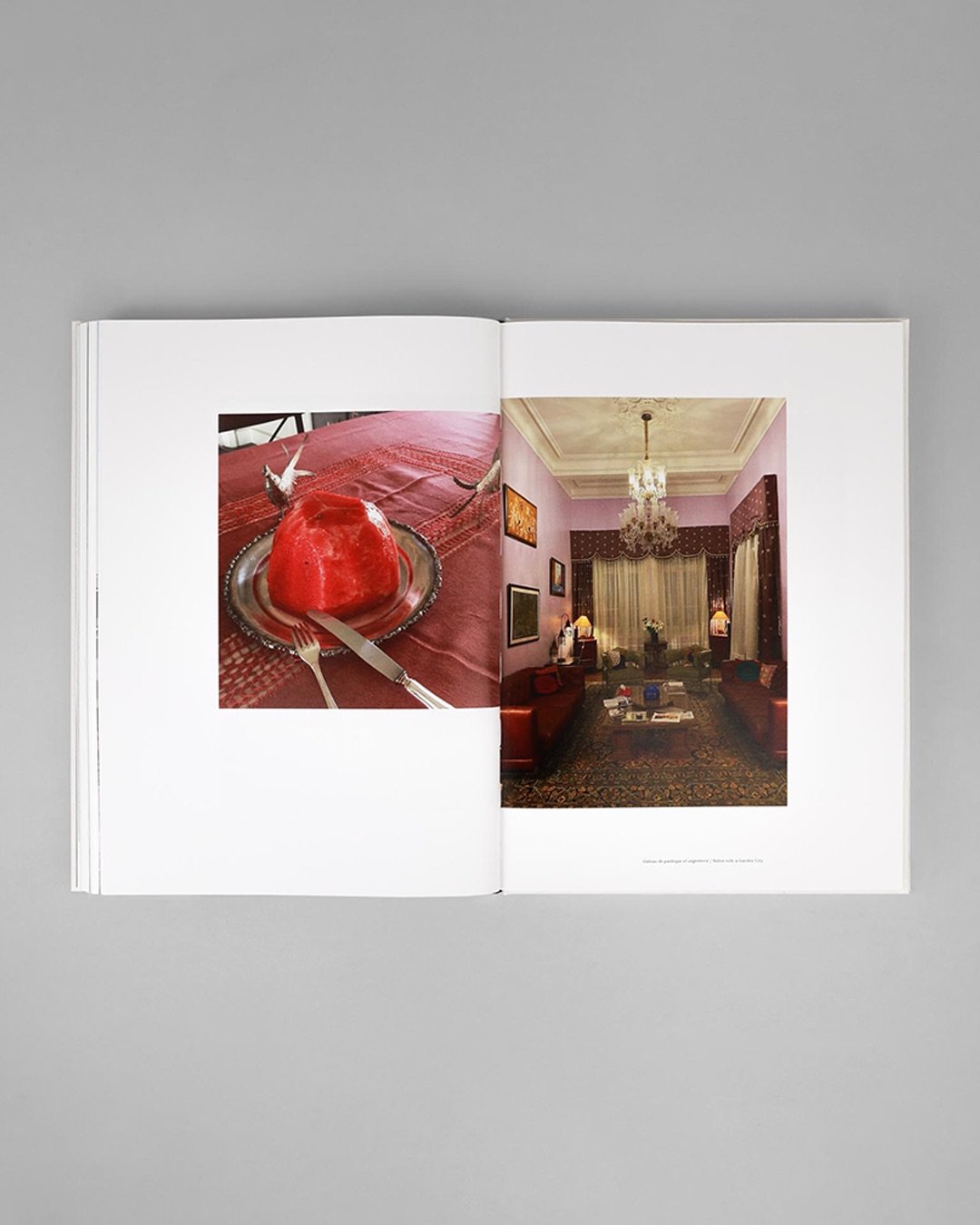Why Bottega Veneta's behind the new Magma book