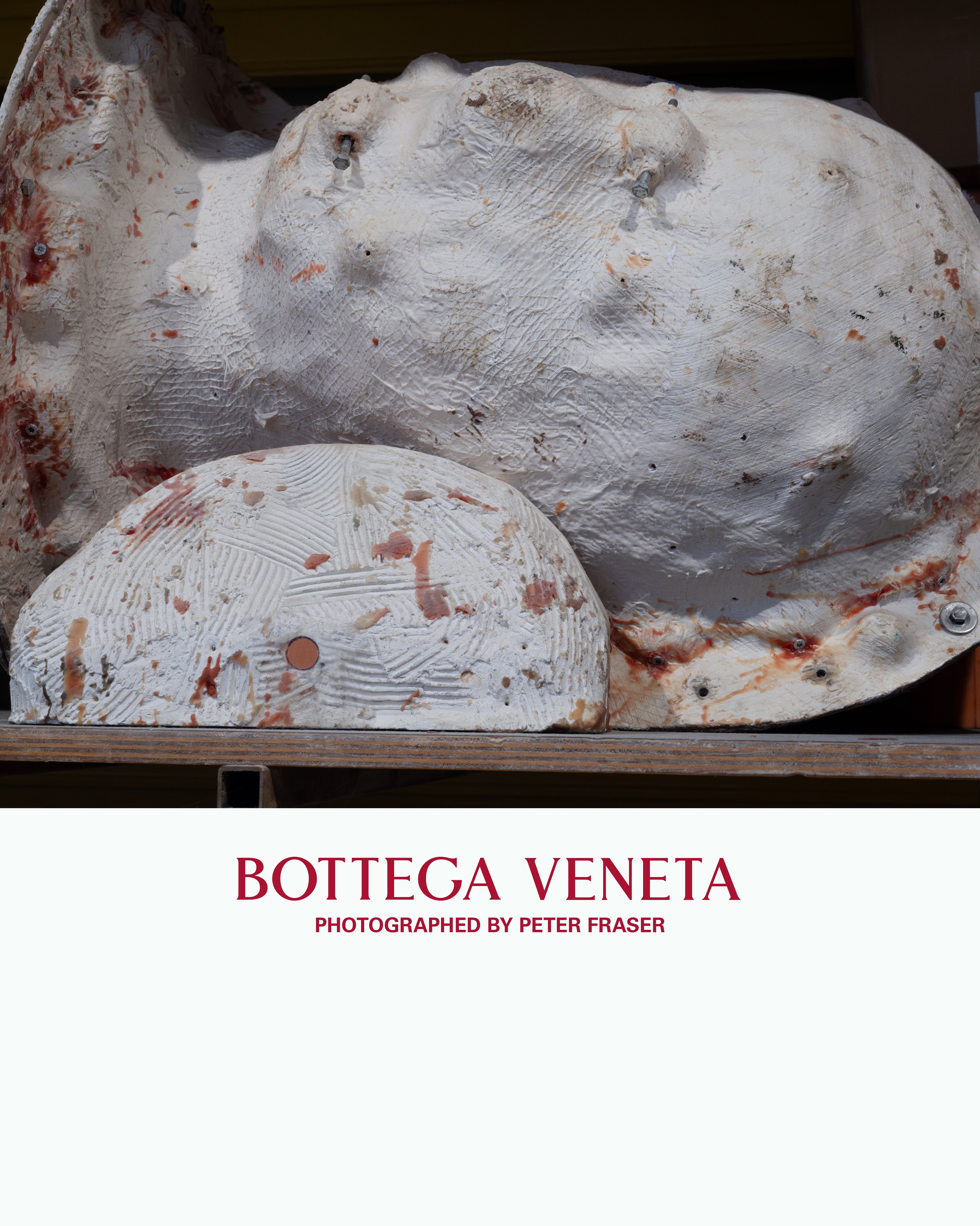 You need to check out Bottega Veneta’s new ‘For The Arts’ collaboration series
