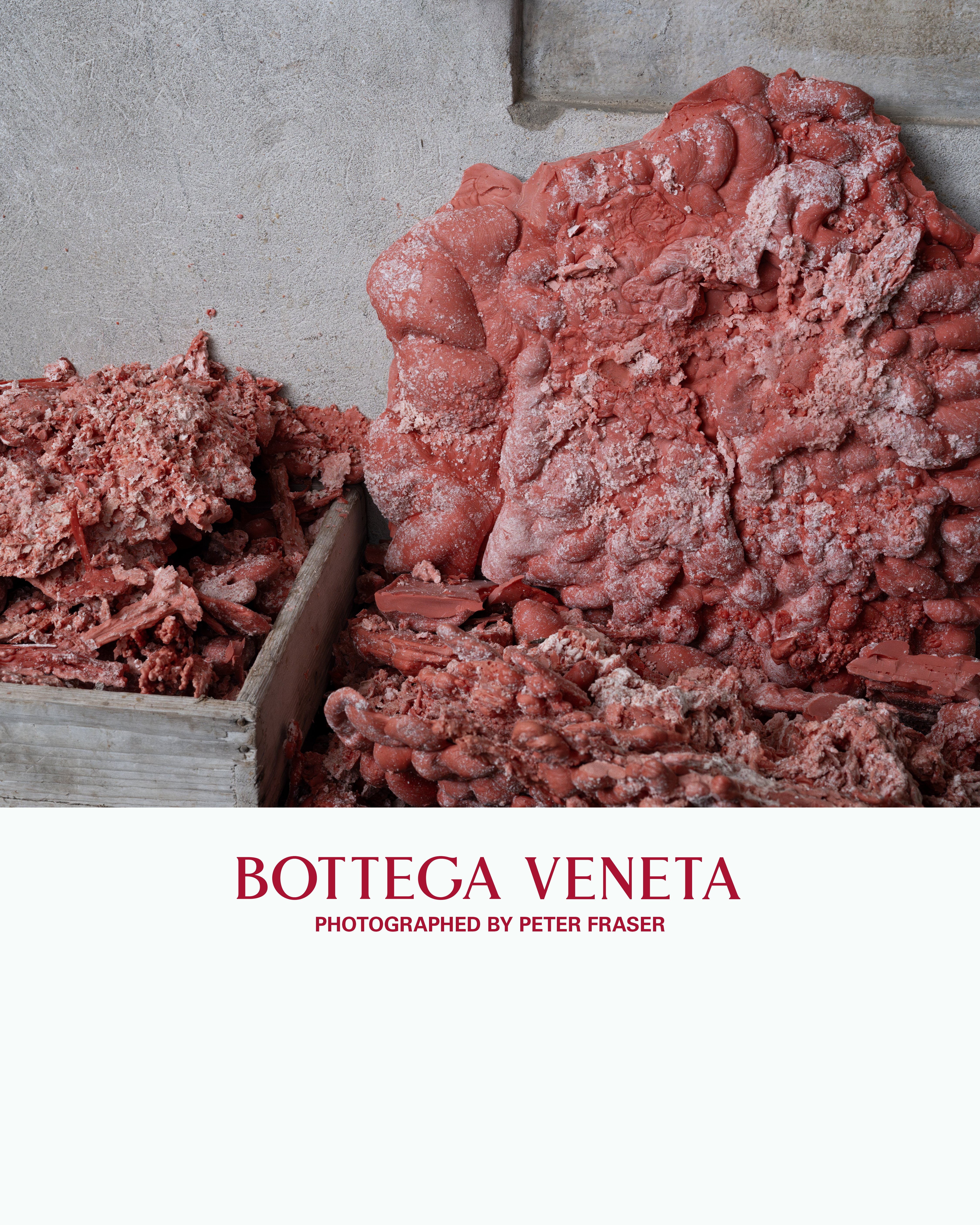You need to check out Bottega Veneta’s new ‘For The Arts’ collaboration series
