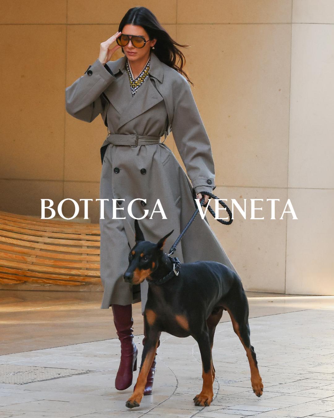 All bark and no bite: why are dogs dominating fashion right now?
