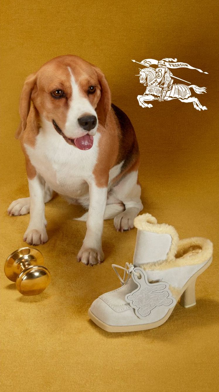 Toast, chicks & checks: the Burberry Holiday 2023 campaign