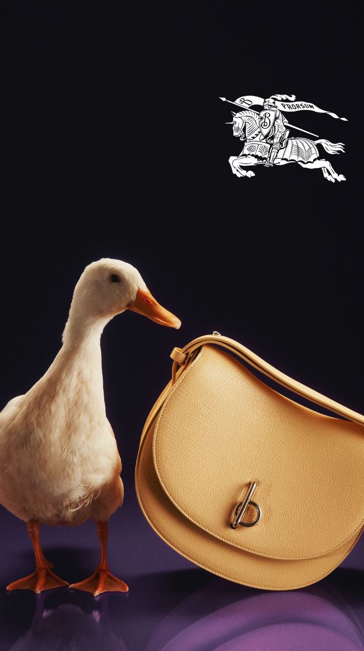 Toast, chicks & checks: the Burberry Holiday 2023 campaign