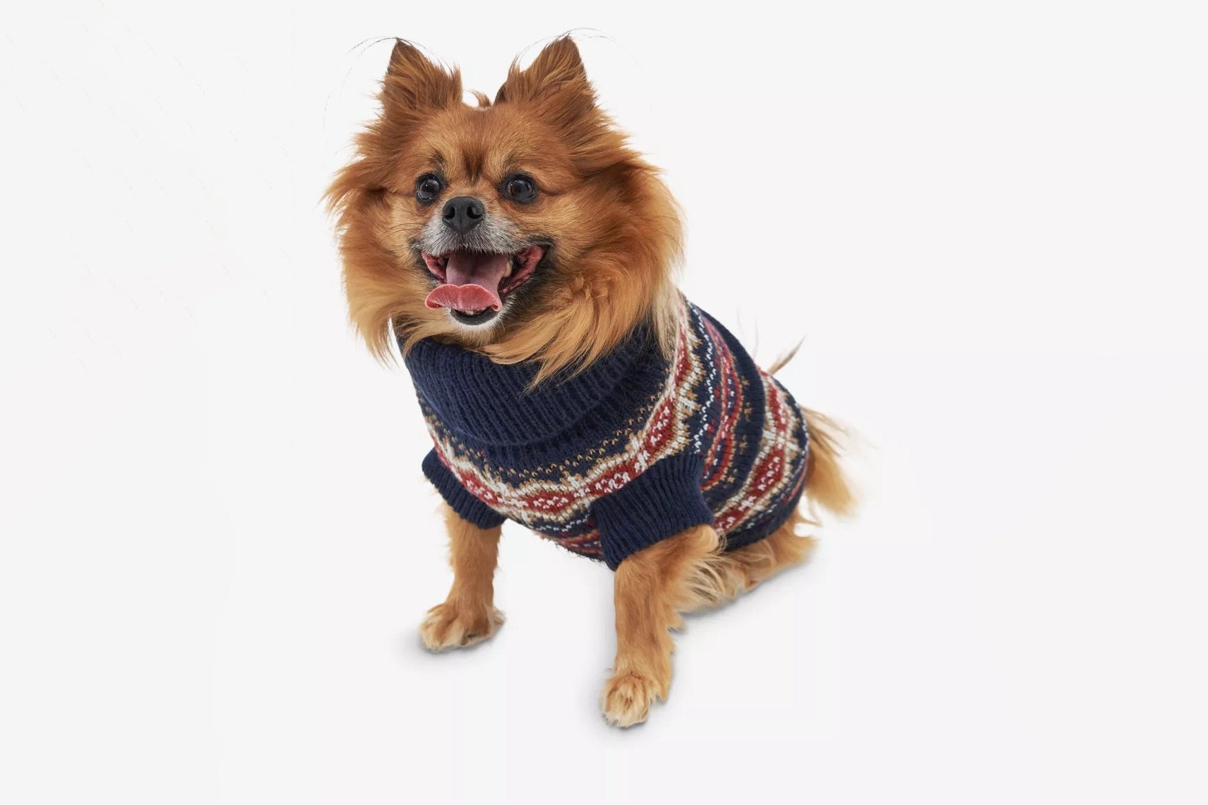 Culted’s holiday gift guide for procrastinators