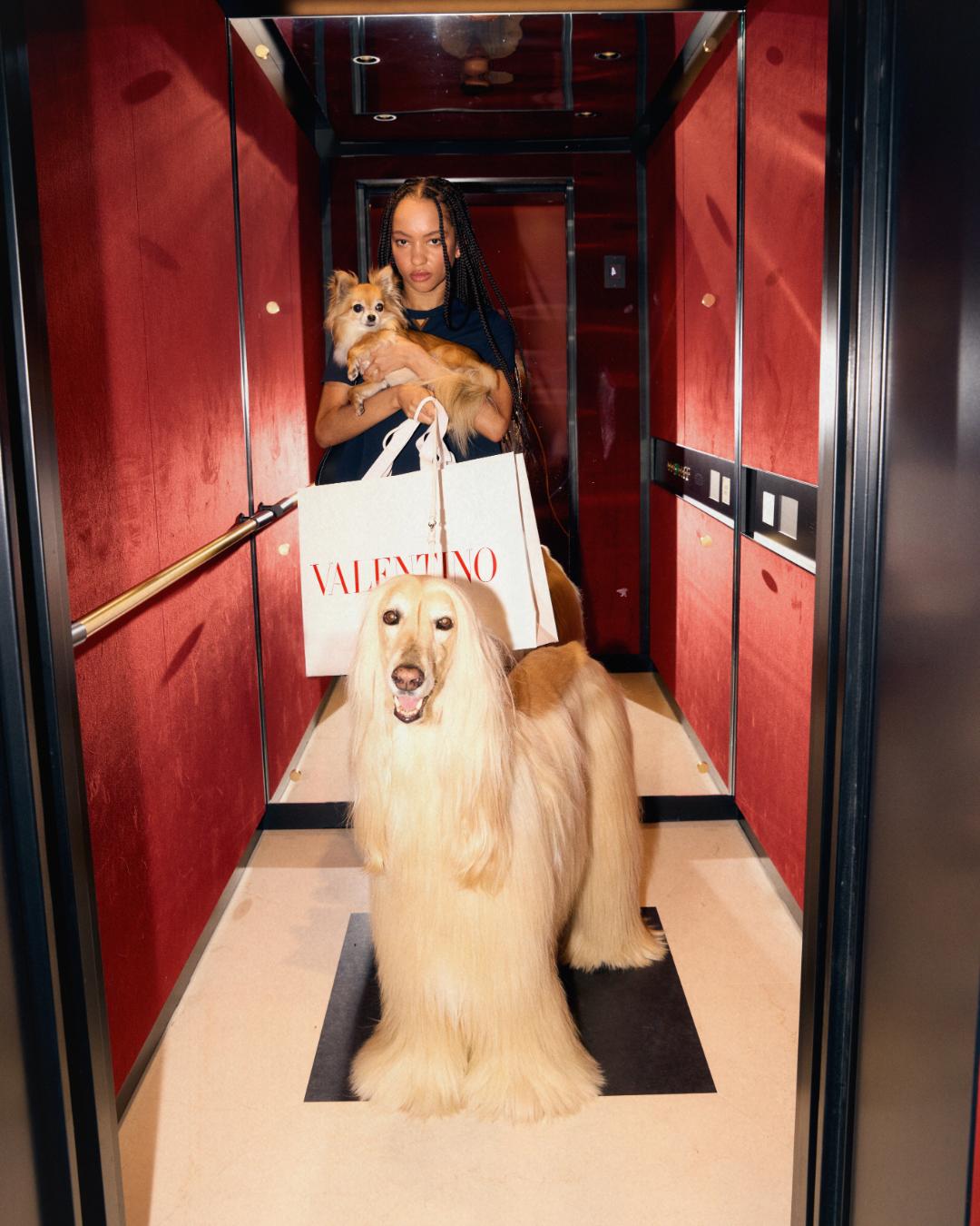 Fashion in 2024 said "I got that dog in me": here's the best canine campaigns of the year