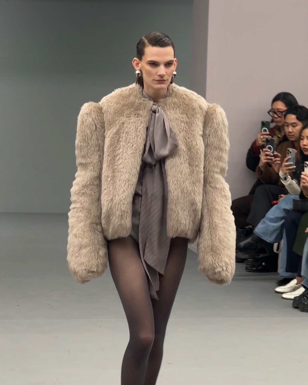 There are two wolves inside Acne Studios FW25