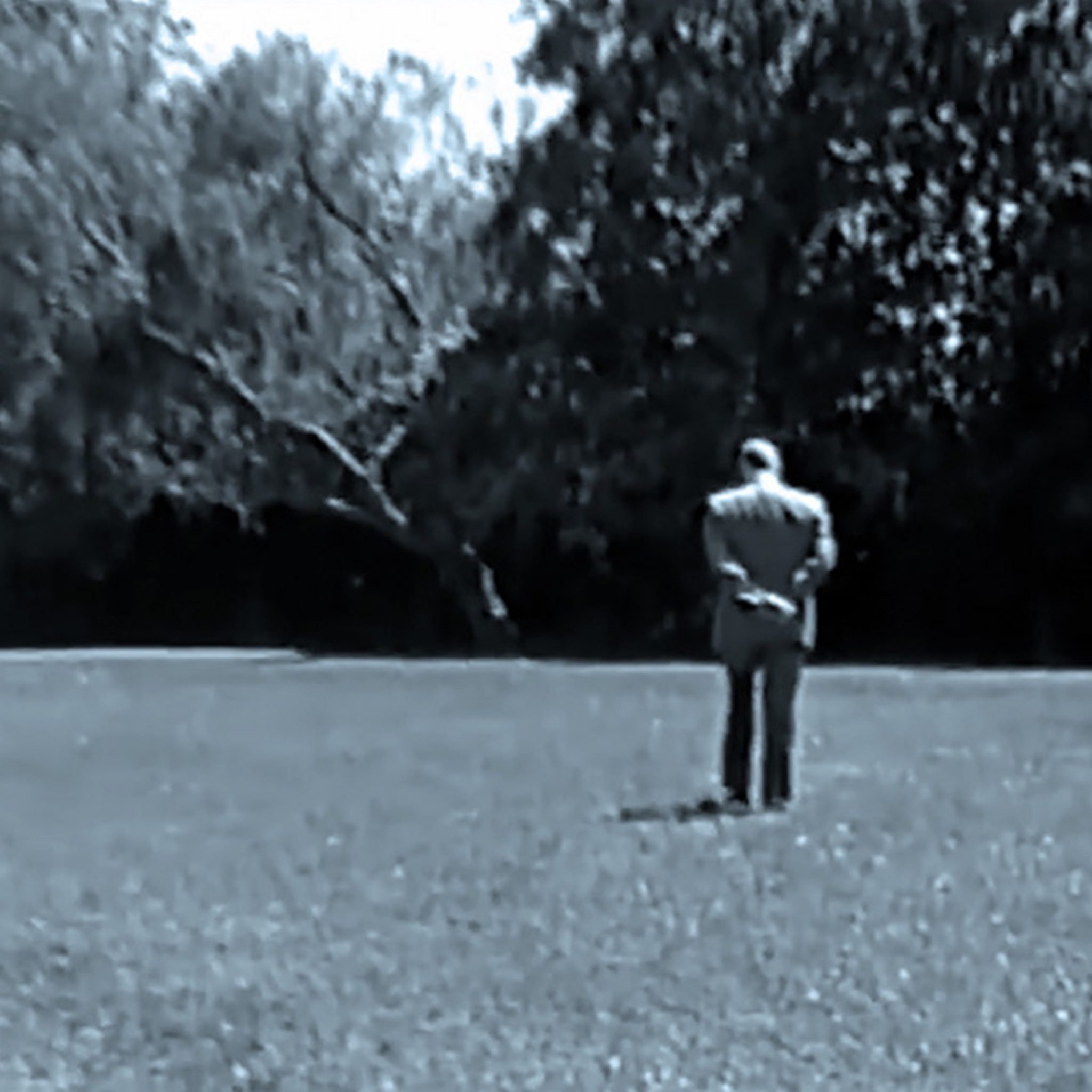 CULTED SOUNDS: WHAT THE TEAM LISTENED TO IN AUGUST