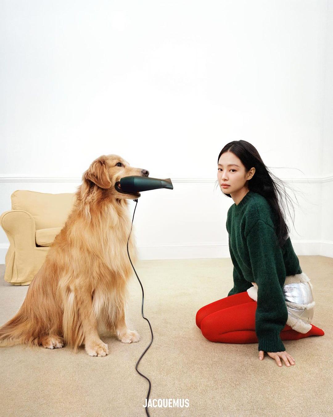 All bark and no bite: why are dogs dominating fashion right now?