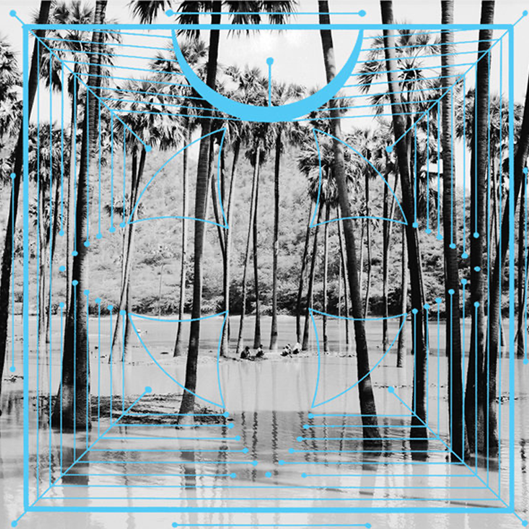 CULTED SOUNDS: WHAT THE TEAM LISTENED TO IN AUGUST