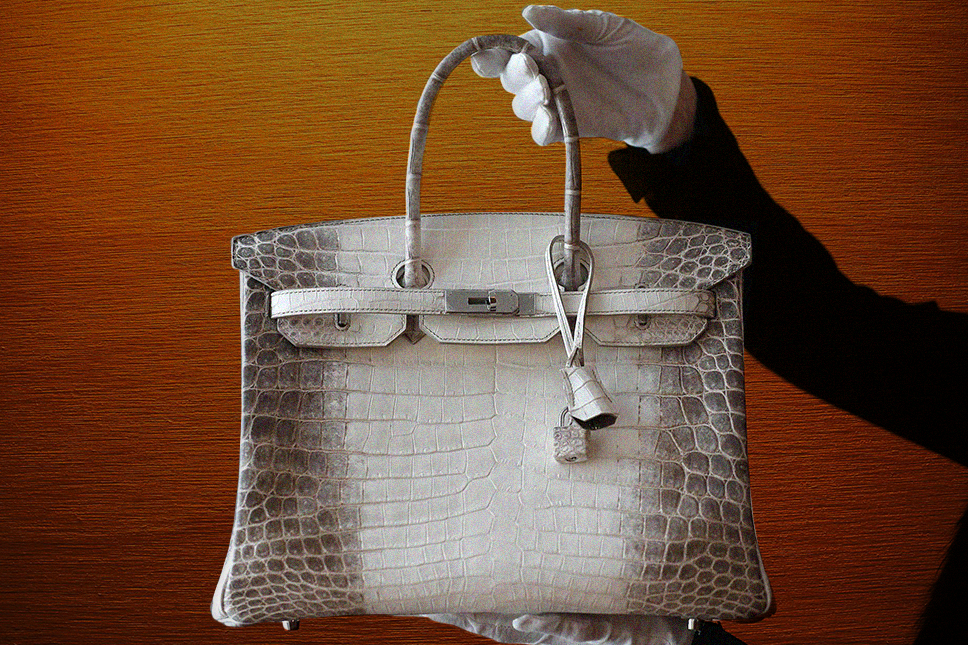HERMÈS' BIGGEST CROCODILE FARM RAISES CONCERNS FOR NEW PANDEMICS