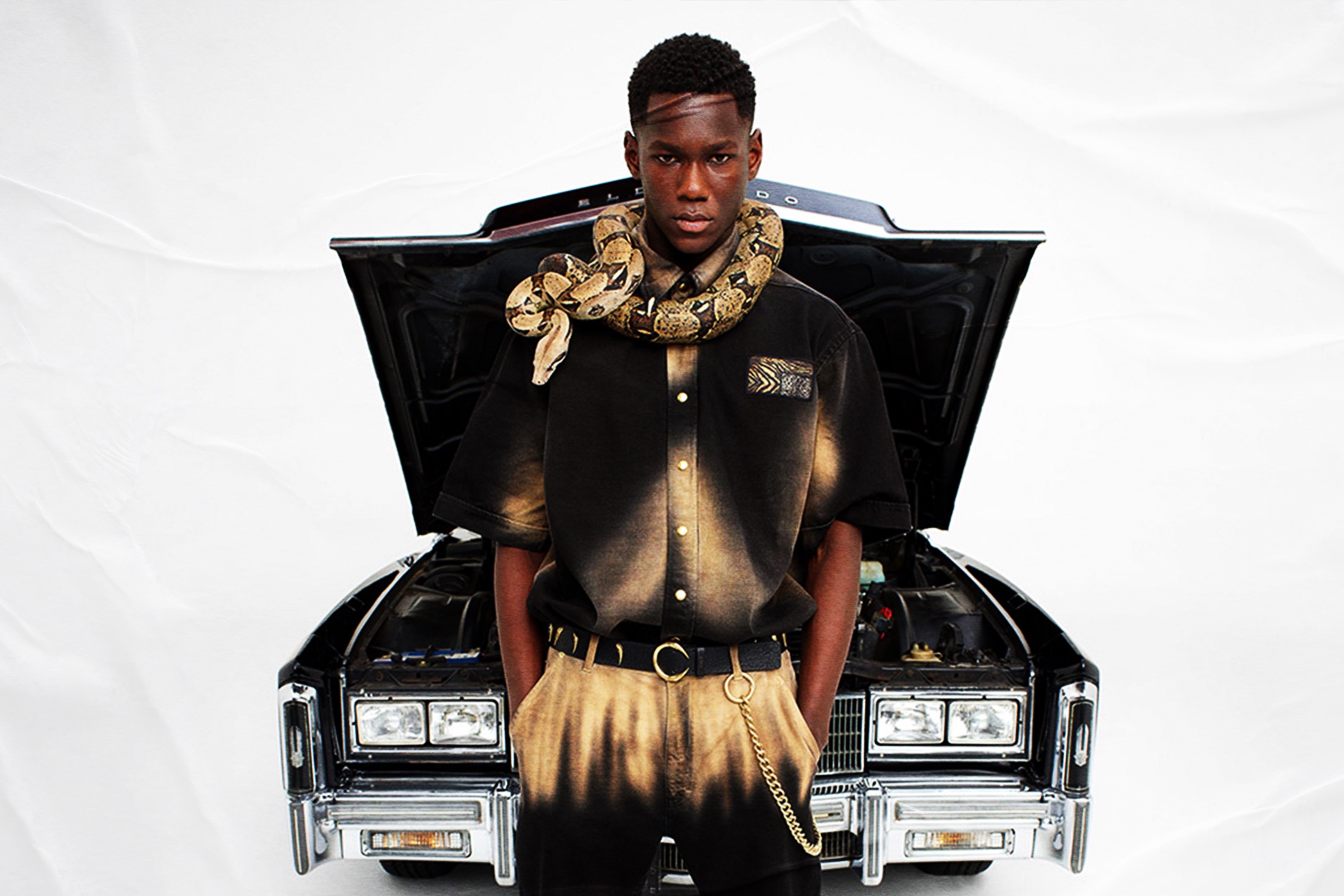 REIMAGINING ROBERTO CAVALLI
