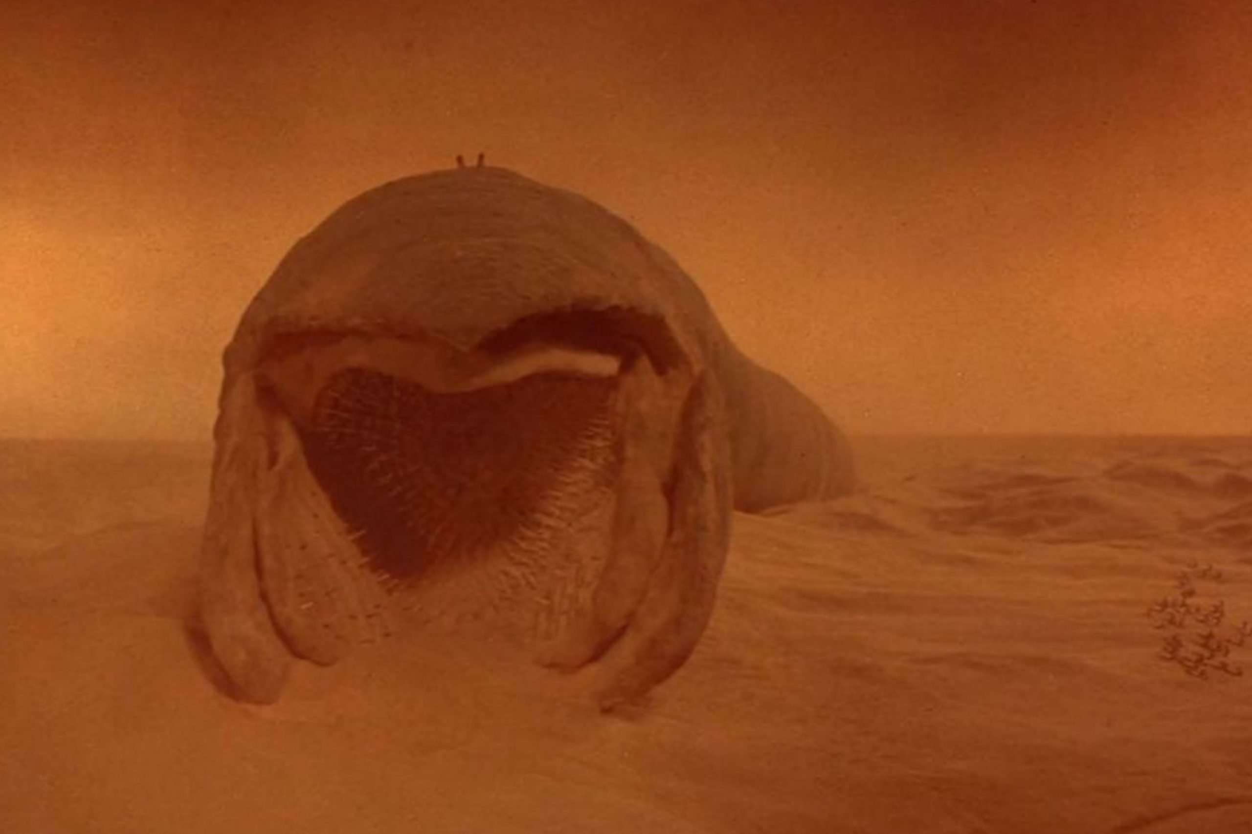 WE HAVE OFFICIALLY ENTERED THE DUNE ERA, HERE’S HOW TO DRESS FOR IT