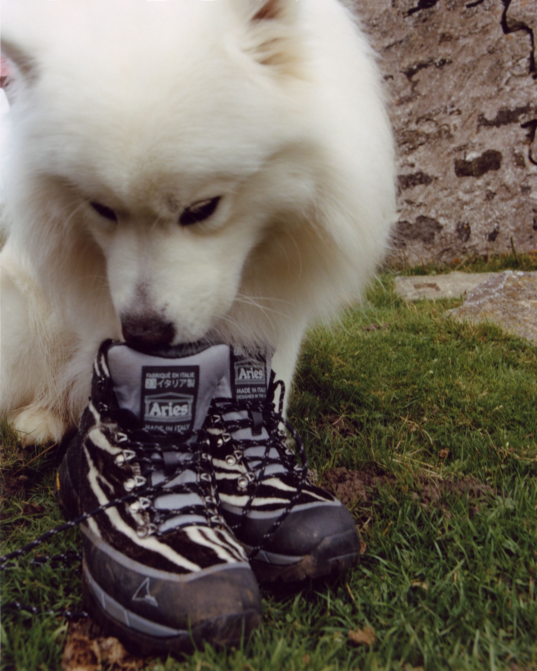 Aries takes us to the Italian Alps with ROA