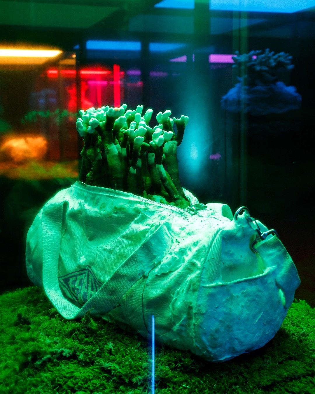 MAGIC MUSHROOMS: IS MYCELIUM THE FUTURE OF FASHION?