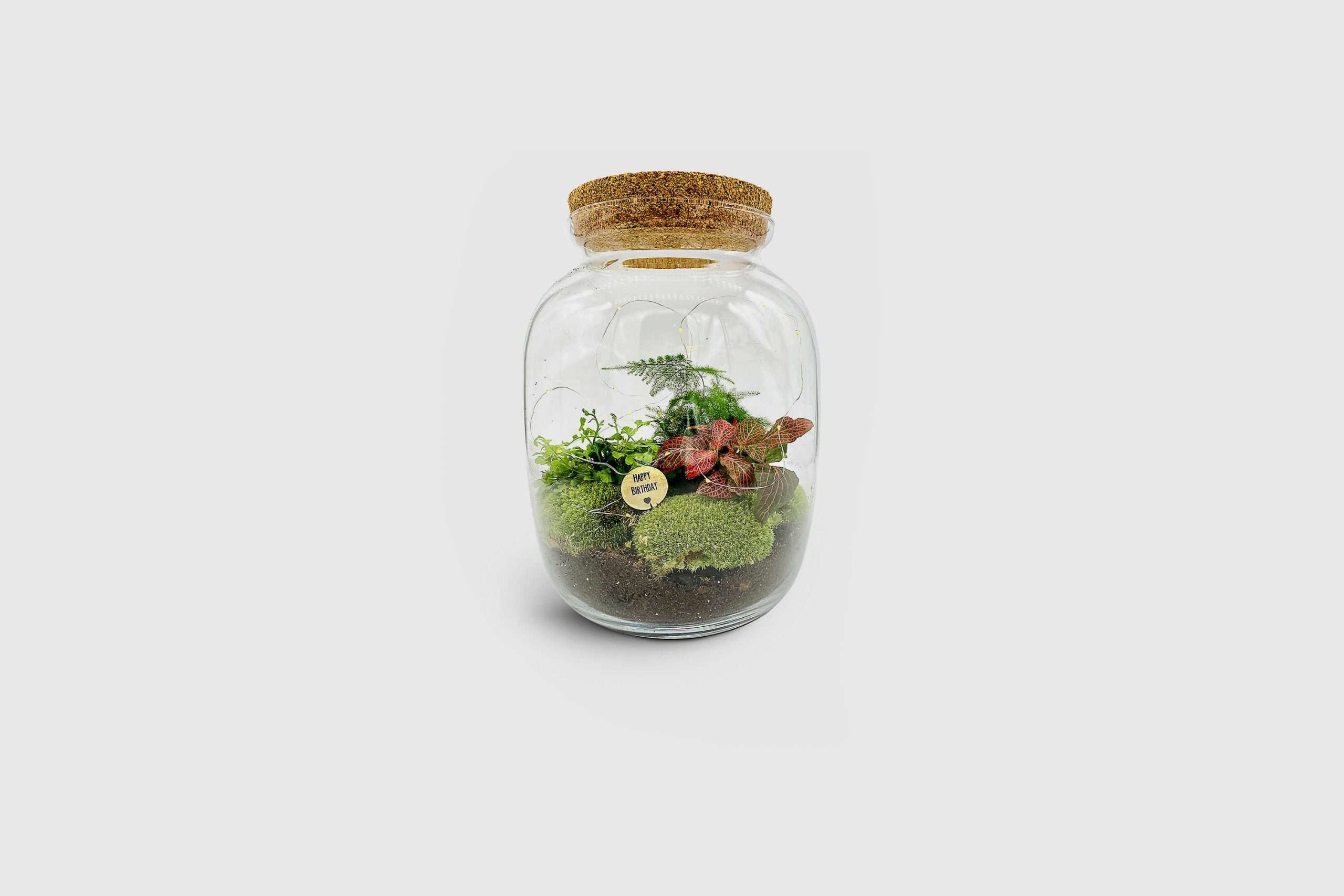 A SUSTAINABLE SHOPPING GUIDE, JUST IN TIME FOR EARTH DAY