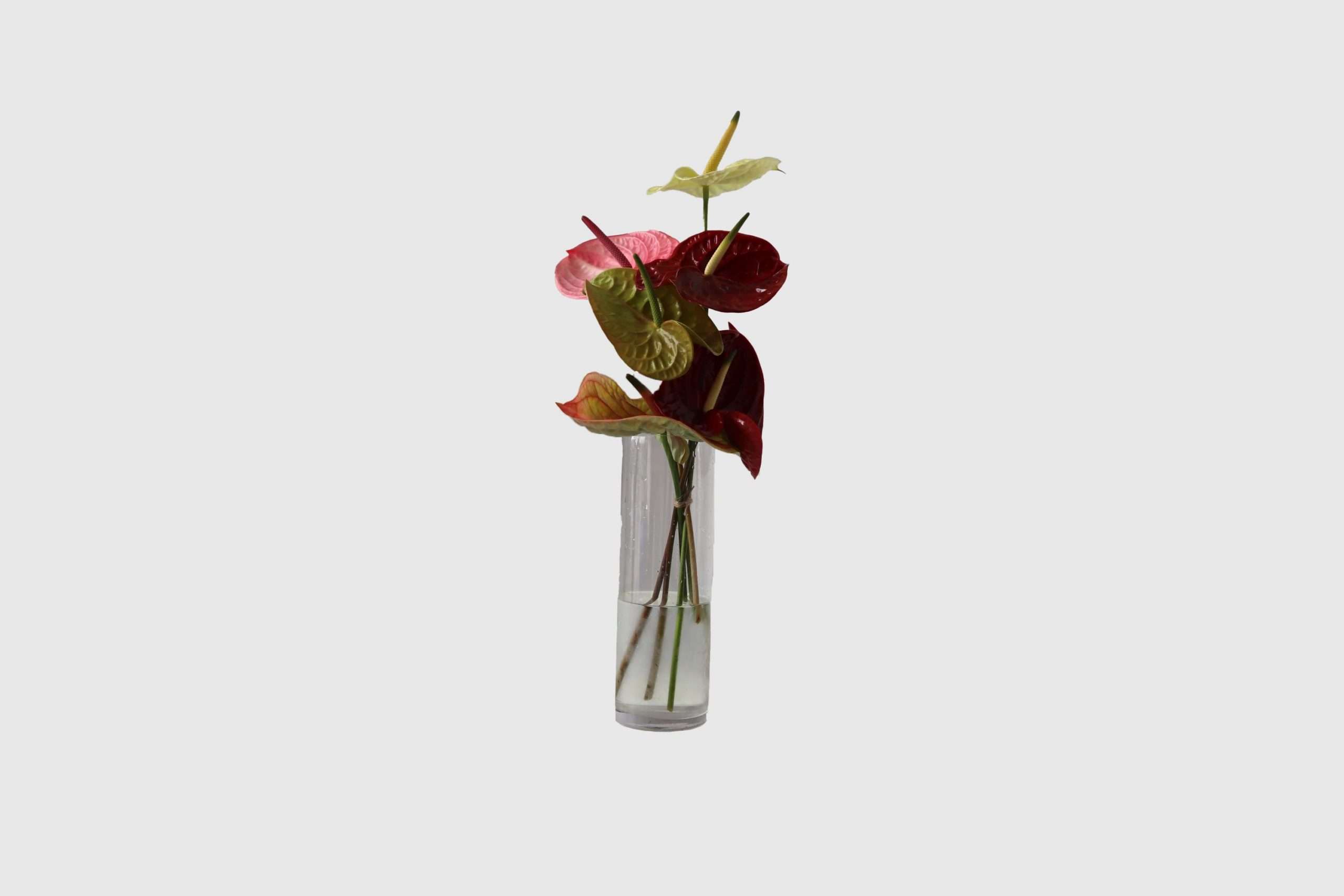 OUR LAST-MINUTE GIFT GUIDE TO SAVE YOUR RELATIONSHIP COME MONDAY