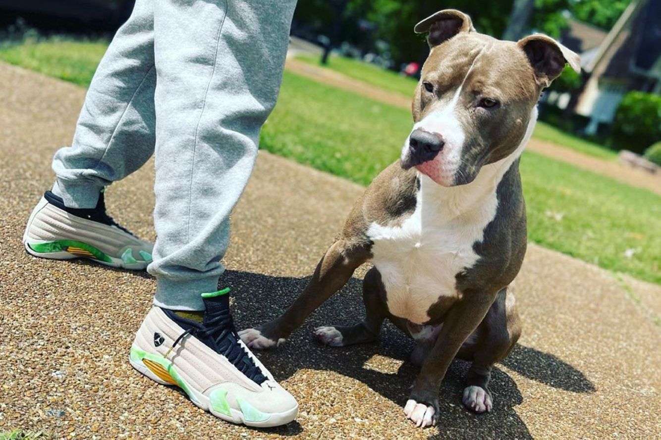 YEEZY DAY VS SNKRS DAY - THIS WEEK IN SNEAKERS