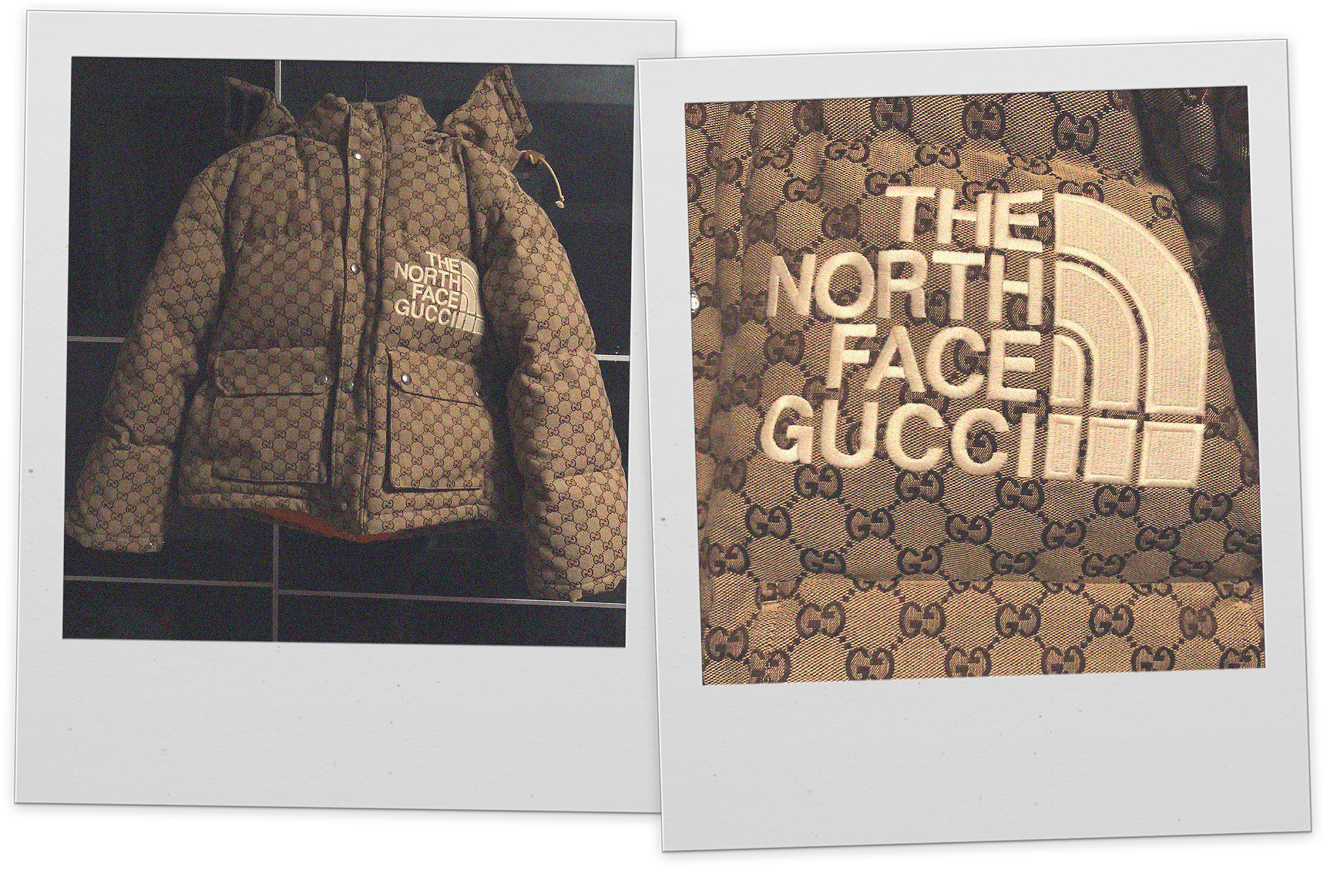 WE WENT (WINDOW) SHOPPING FOR THE MOST GRAILED ITEMS ONLINE